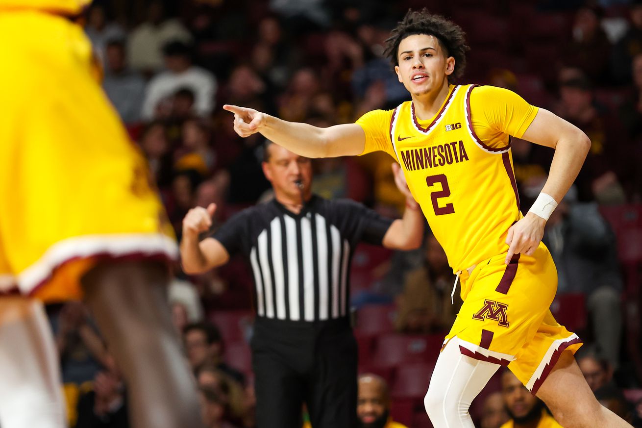 NCAA Basketball: Arkansas-Pine Bluff at Minnesota