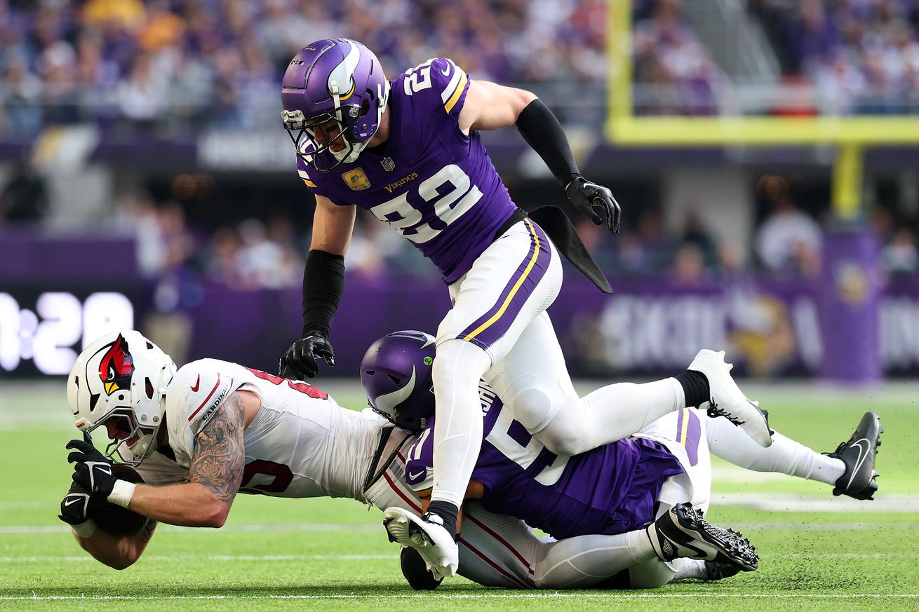 Arizona Cardinals v Minnesota Vikings