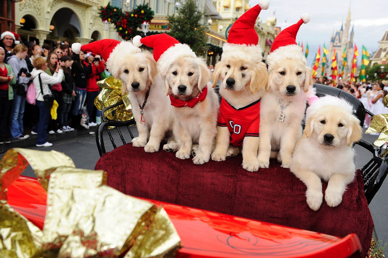 Celebrities Attend “Disney Parks Christmas Day Parade” 2009